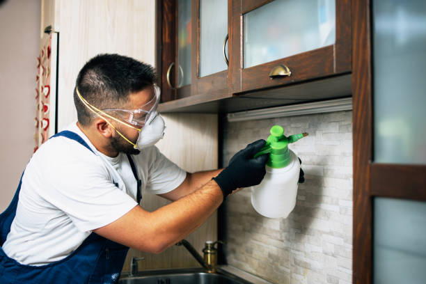 Best Pest Inspection Near Me  in Starke, FL