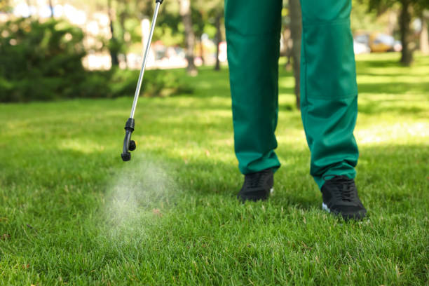 Wasp Removal Services in Starke, FL