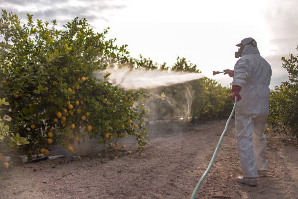 Best Rodent Control Near Me  in Starke, FL
