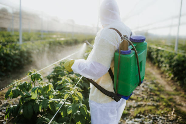 Best Pest Control Treatment  in Starke, FL